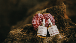 Two Mushroom Envy Face Food oil bottles beside a red reishi mushroom on a forest log — organic mushroom skincare