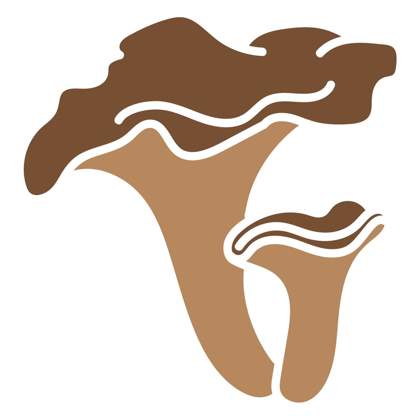 Mushroom Envy Gift Card - Mushroom Envy Ltd.